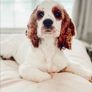 Meet your Posher, April